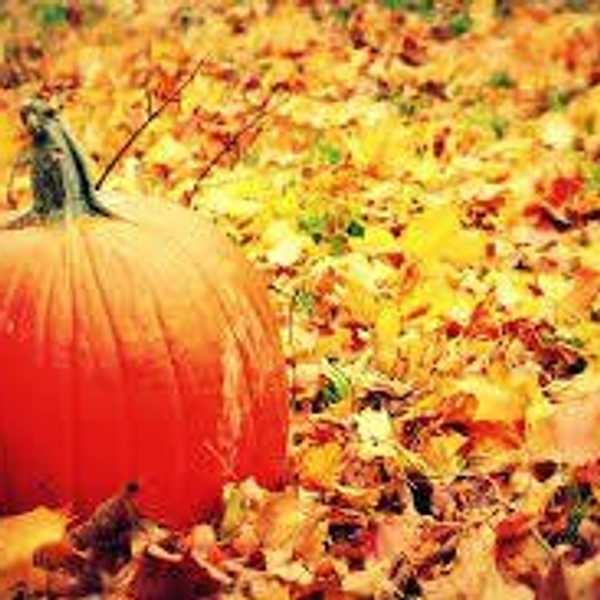 Why Halloween Is Just As Exciting In College