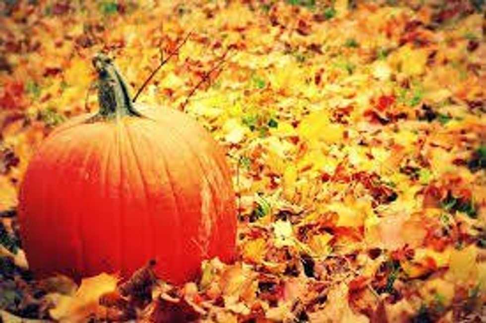 Why Halloween Is Just As Exciting In College