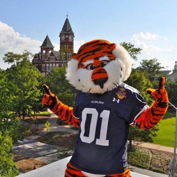 You Know You're An Auburn Student When...