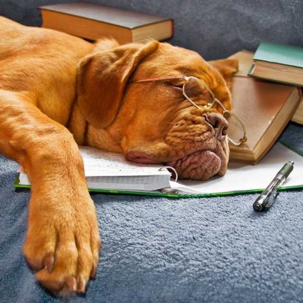 Surviving Midterm Season