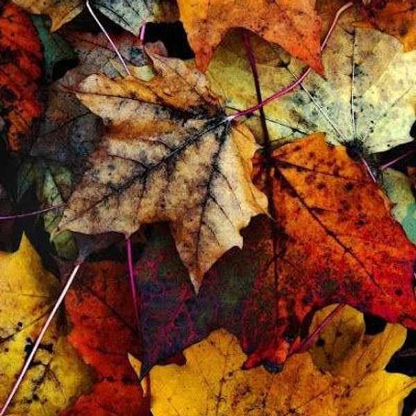 The 11 Most Underrated Joys Of Fall