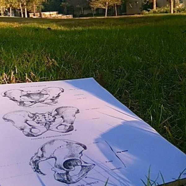 To Stress Or Not To Stress?