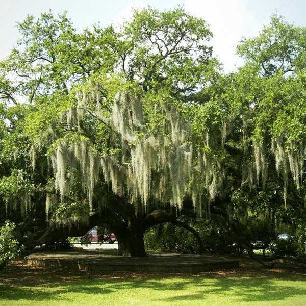 Letter From The Editor