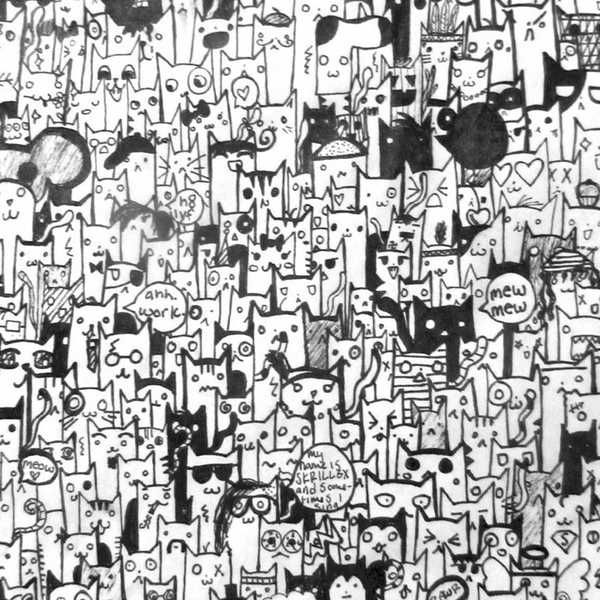 15 Things Only Cat Lovers Will Understand