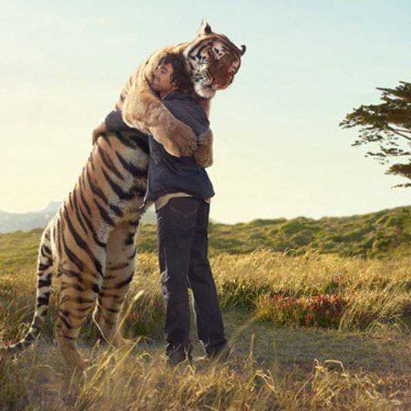 Why We Value Our Pets More Than The Average Human Being