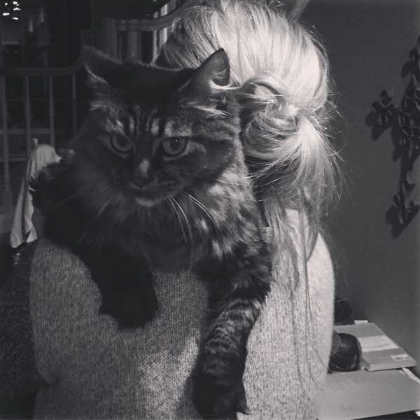 Save A Life And Gain A Best Friend: The Benefits Of Pet Adoption