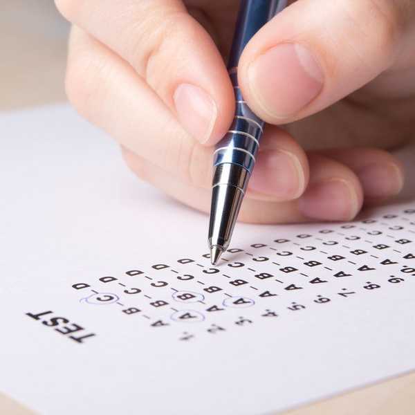 Why Standardized Testing Should Not Be Used As A Measurement Of Intelligence