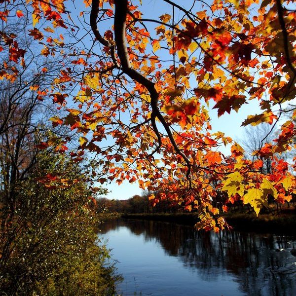 What I Miss About Fall