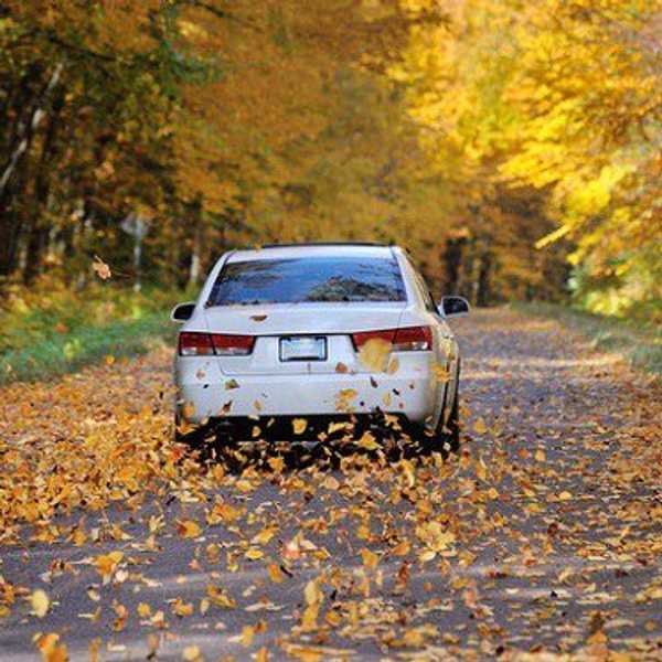 Fall Break: The Truth About Coming Home From College