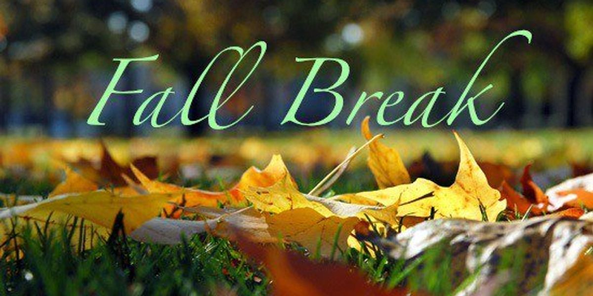 Break Back Fall What Is Fall Break? | The Odyssey Online