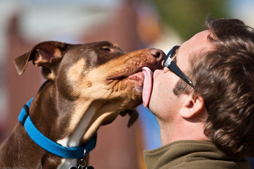 21 Signs Your Pet Is The Most Important Person In Your Life