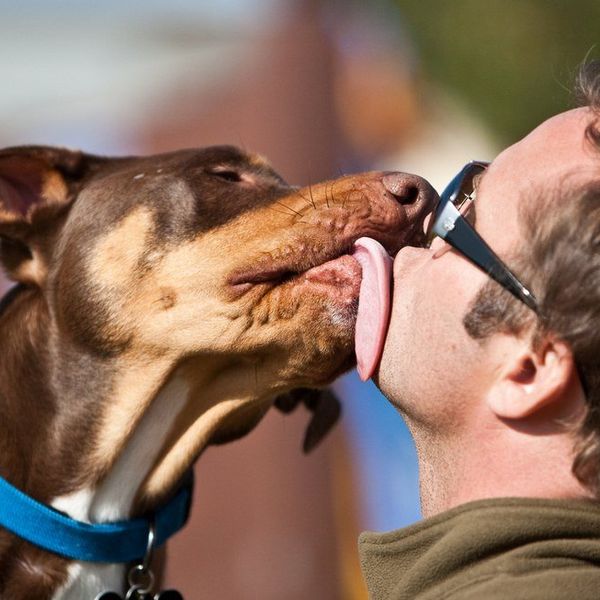 21 Signs Your Pet Is The Most Important Person In Your Life