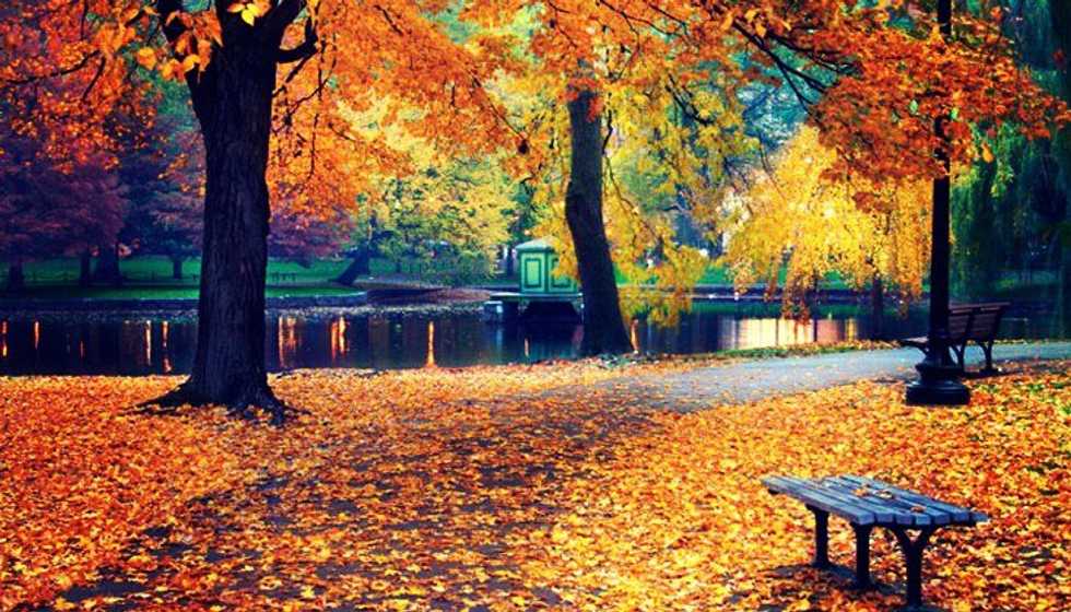 A Typical White Girl's Ode To Fall
