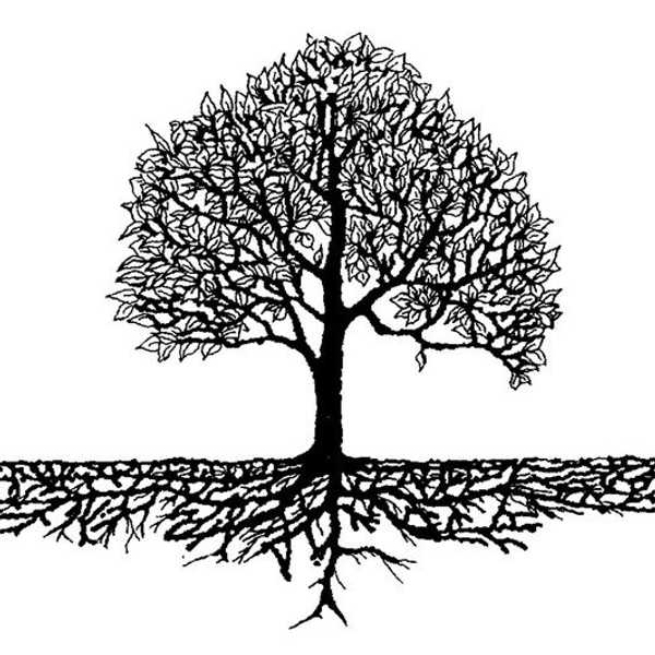 Contrary To The Popular Belief: Your 'Comfort Zone' Won't Destroy You