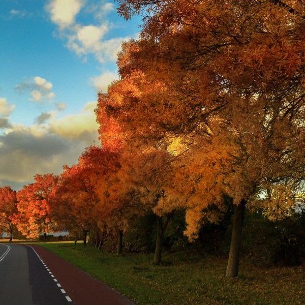 7 Different Things To Do This Fall Break