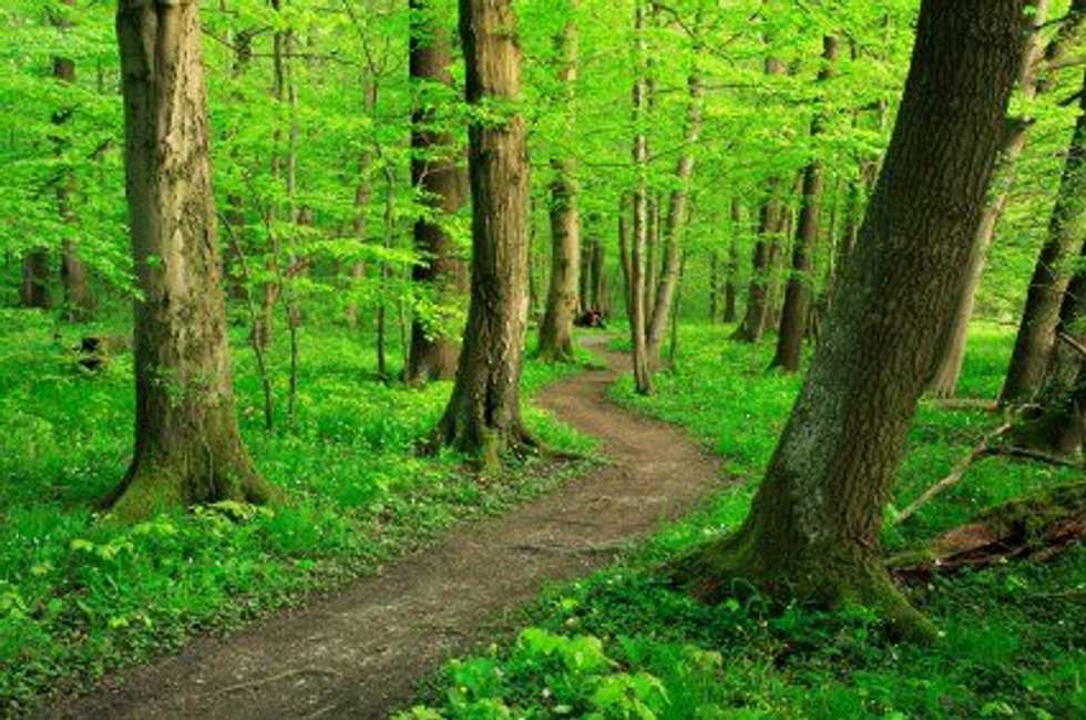 The Path To Inspiration