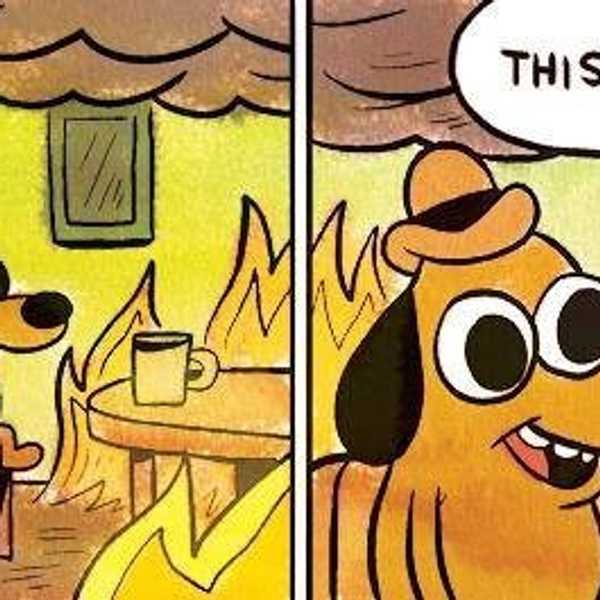 How to Survive Midterms
