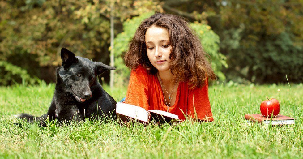 Are You Ready For A Dog In College?