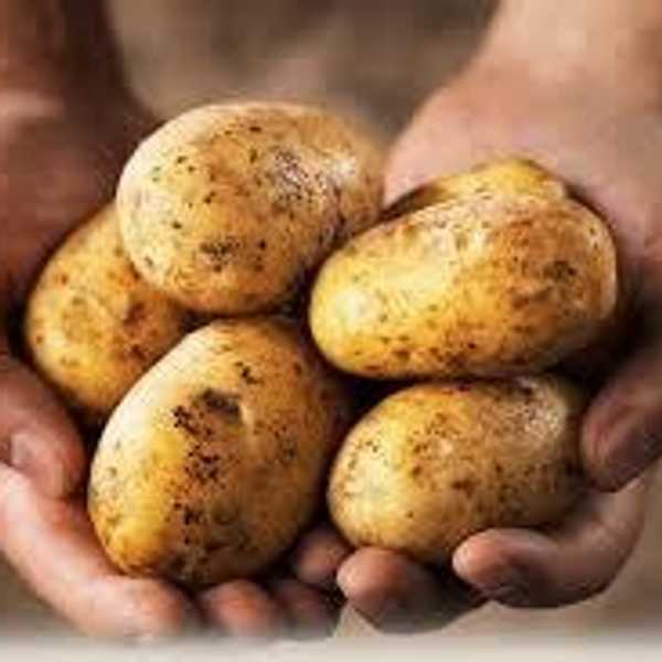 14 Reasons Why Potatoes Are The Best