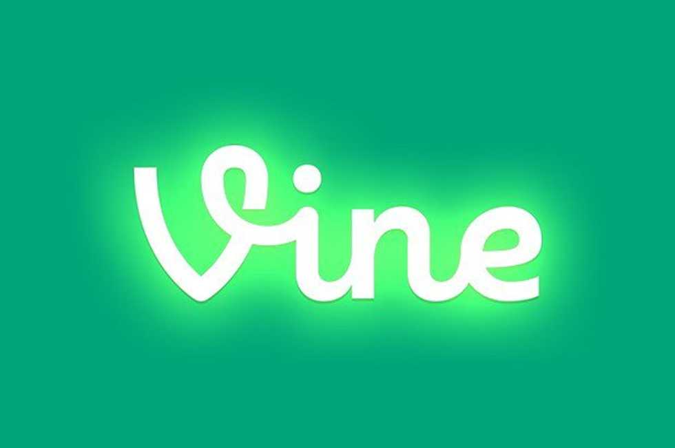 Why I Did It For The Vine (And Would Do It All Over Again)