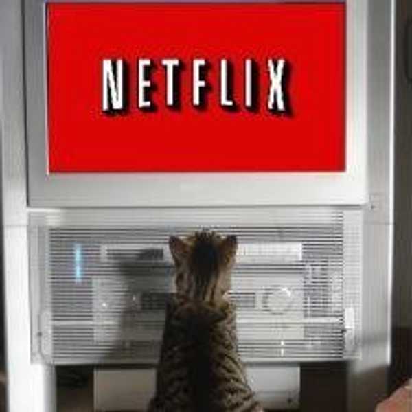 10 Things To Do Instead Of Watching Netflix
