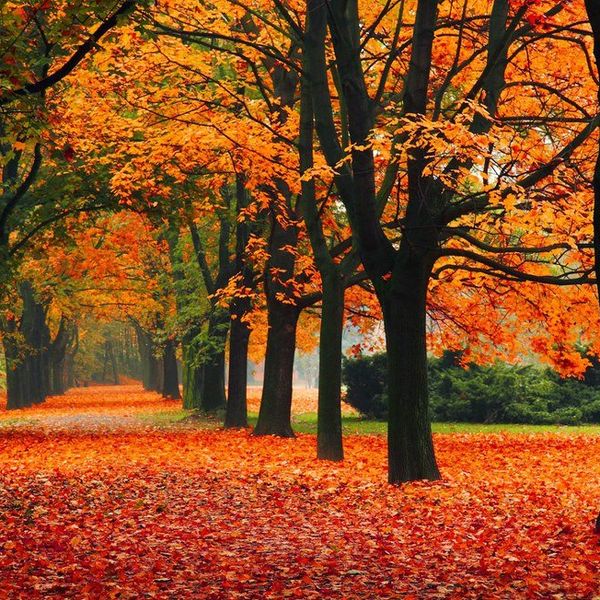 9 Reasons Why Fall Is The Best