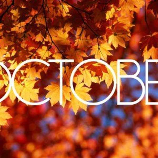 31 Fun Things To Do This October