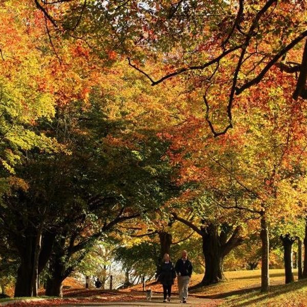 10 Reasons To Look Forward To Fall