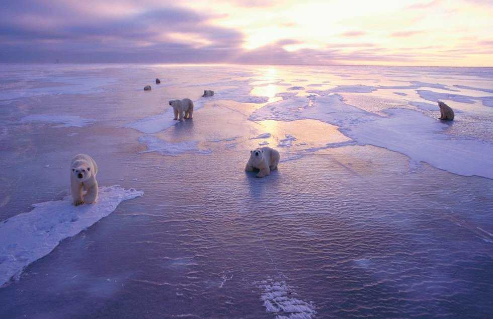 A Note to Global Warming Skeptics