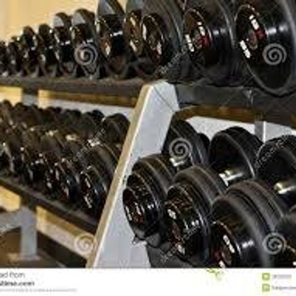 True Life: I'm A Woman In The Weight Room