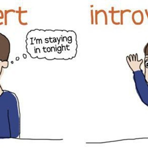 10 Common Misconceptions About Introverts | The Odyssey Online