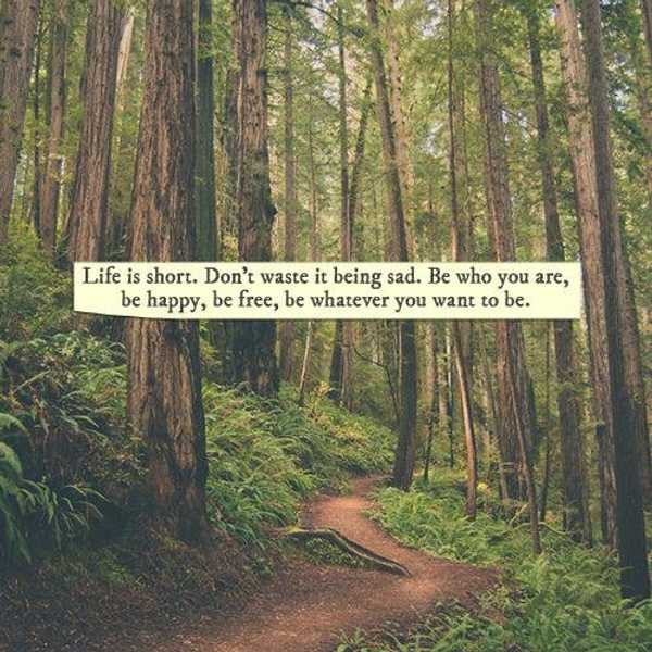 10 Literary Quotes That Can Brighten Your Day