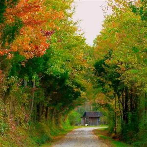 10 Reasons Alabamians Love Fall