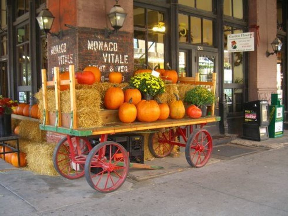 15 Reasons Why Fall Should Be Celebrated