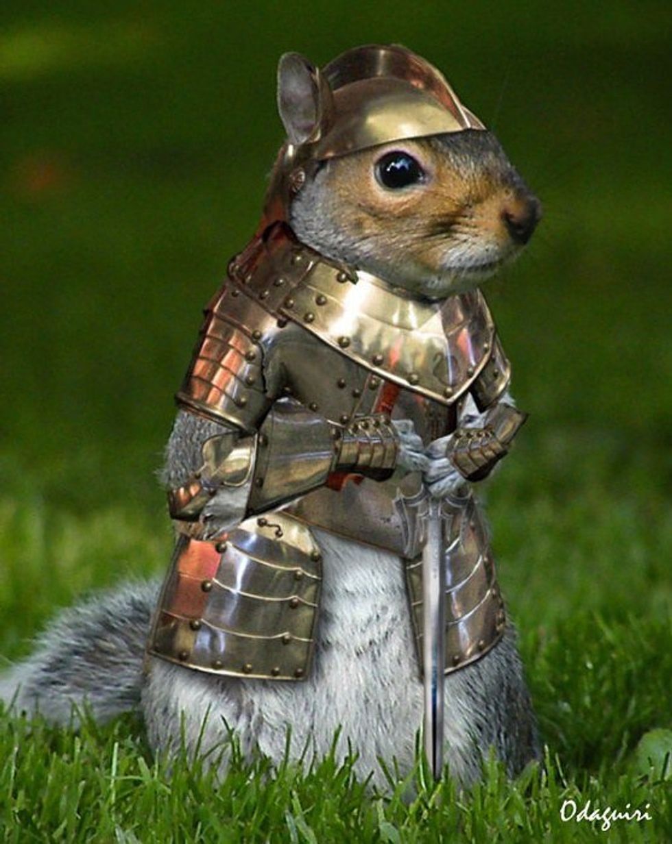 One Squirrel To Rule Them All