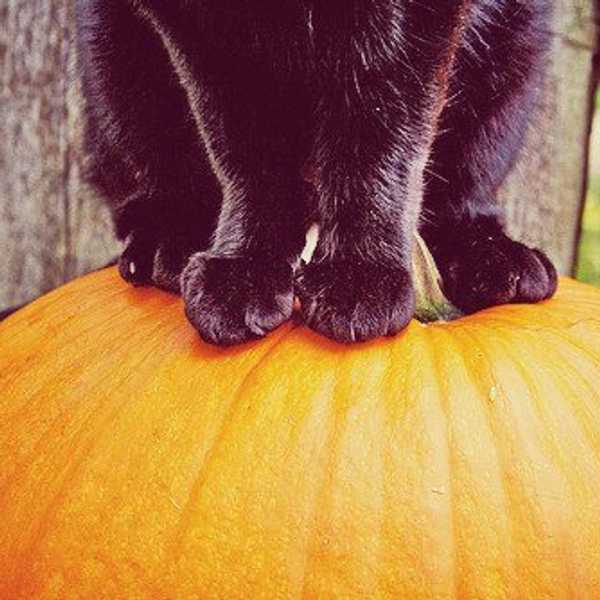 31 Reasons To Love October