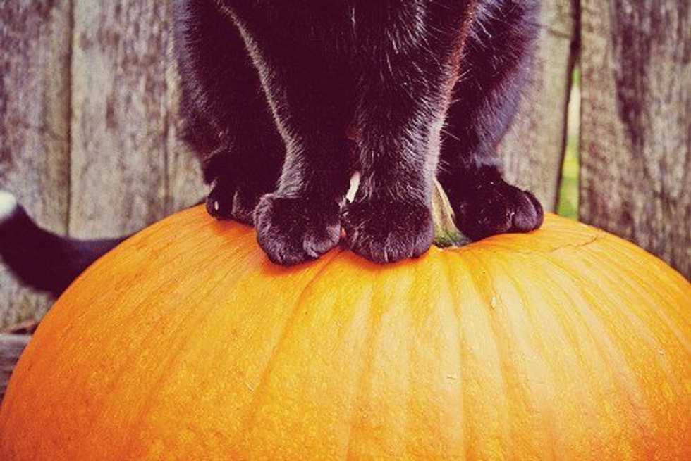 31 Reasons To Love October