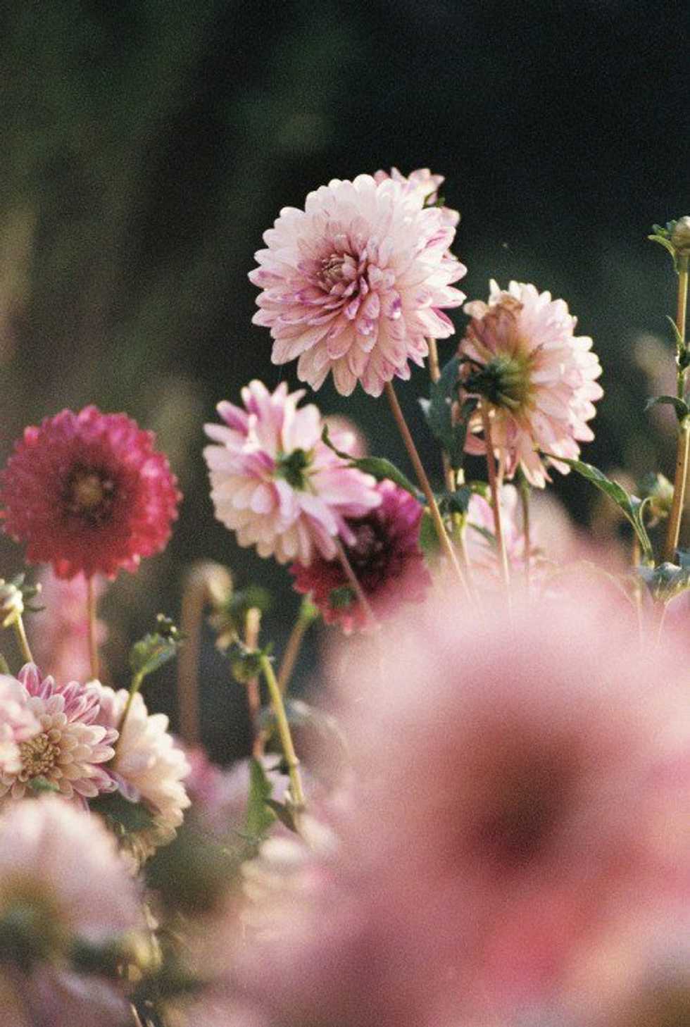 10 Quotes To Get You Through A Bad Day
