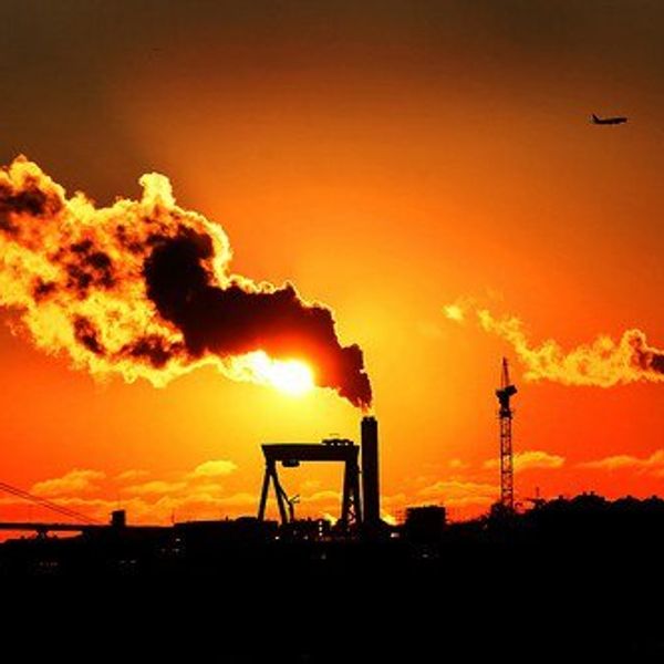 Homo Sapiens: A Problem Of The Environment