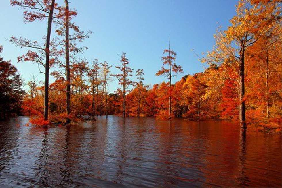 Subtleties Of Autumn