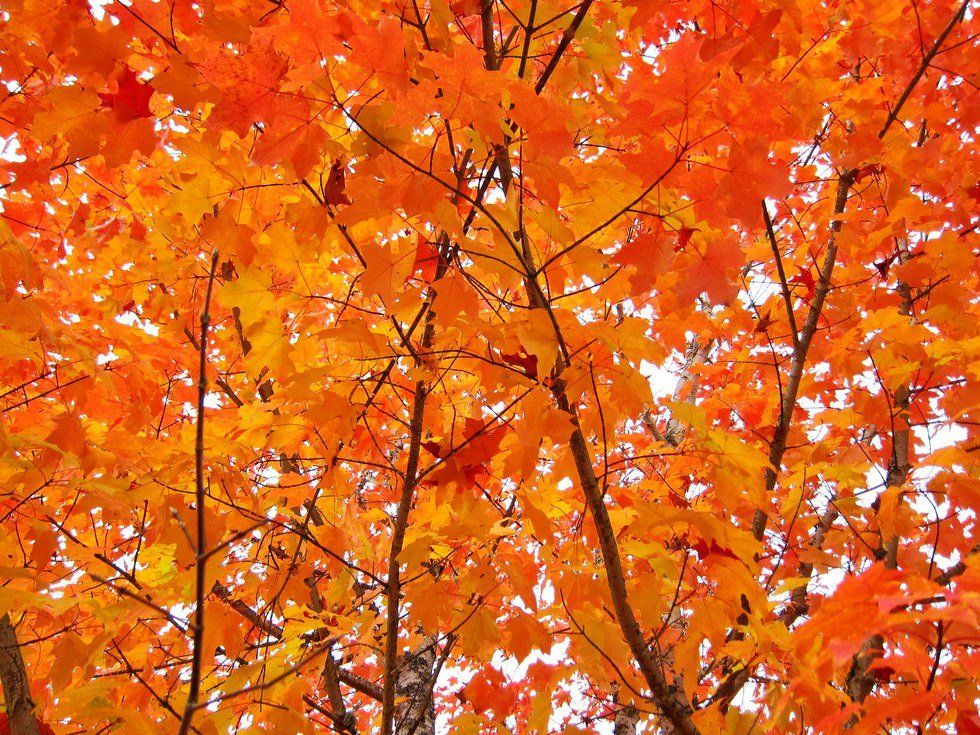 7 Reasons Fall Is The Absolute Best Season