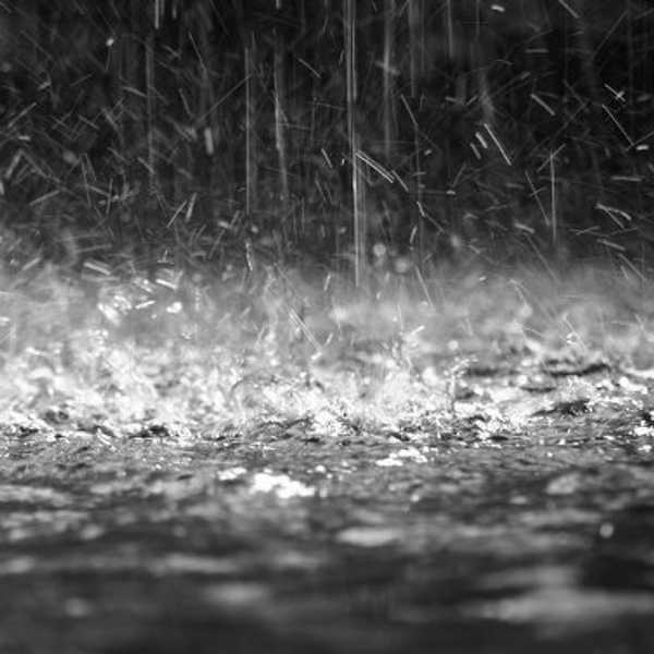 Rainy Daze