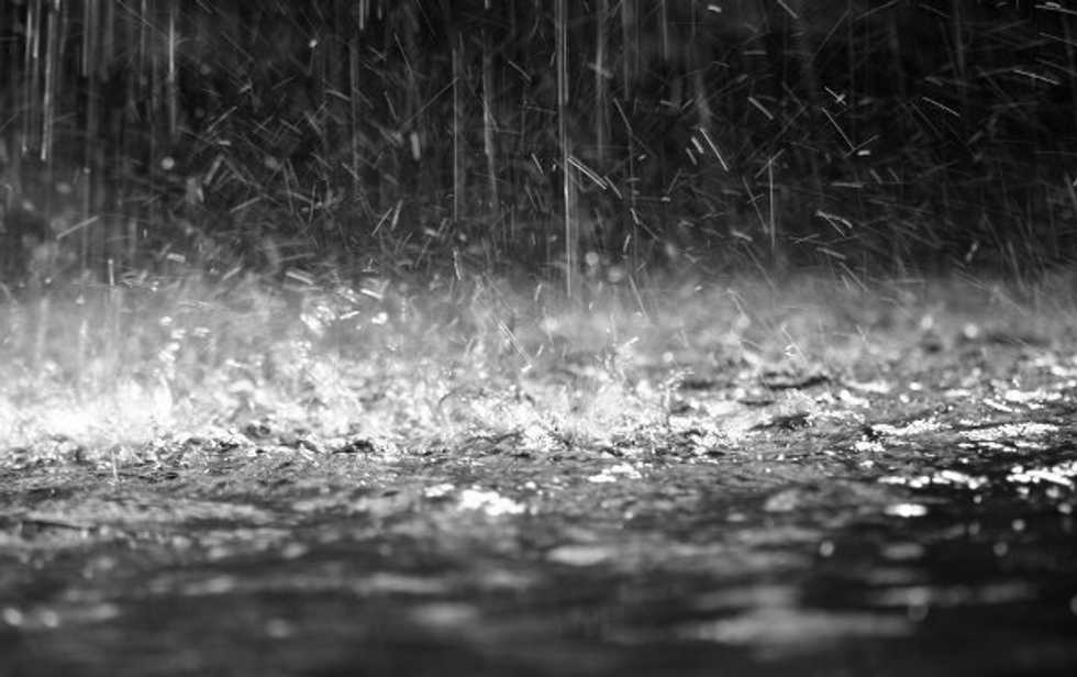 Rainy Daze