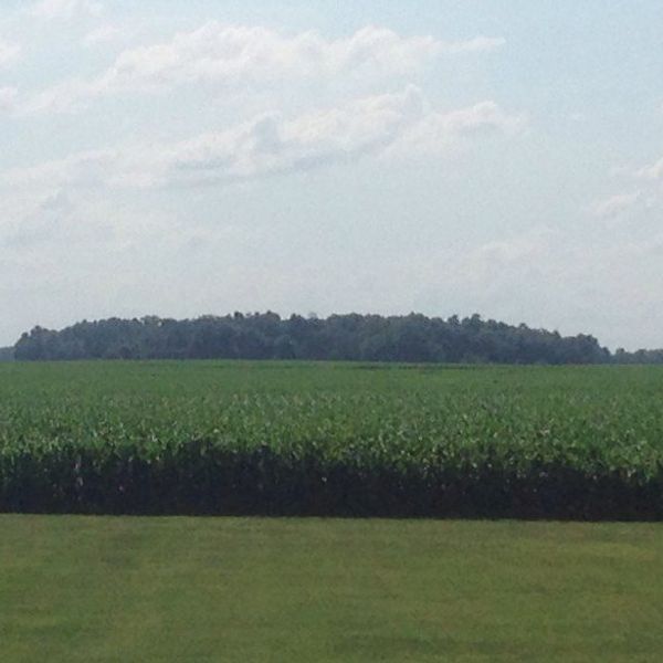 10 Things You Learn While Growing Up On A Farm