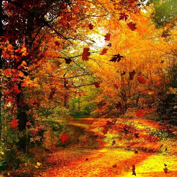 Why Fall Is The Best Season