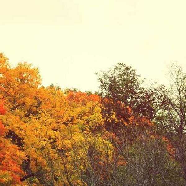 13 Reasons Why Fall Is The Best Season