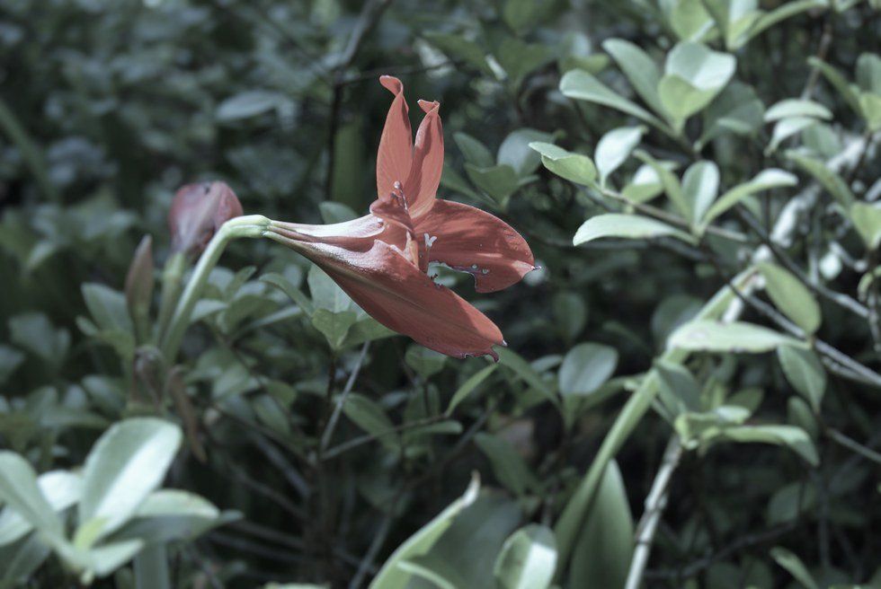 What No One Wants To Talk About