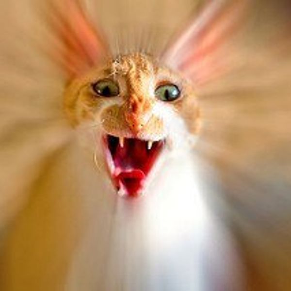 7 Reminders For A Stressful Semester