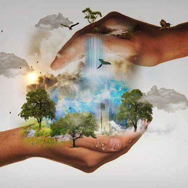 A Christian Understanding Of Conservation