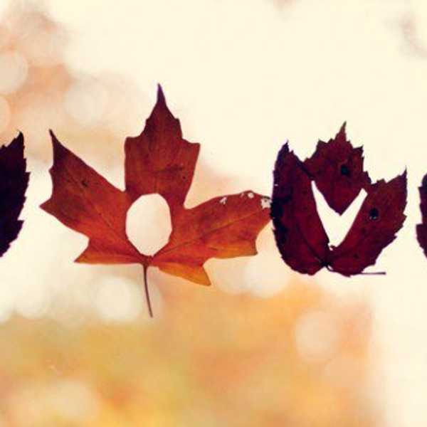 Falling In Love With Fall